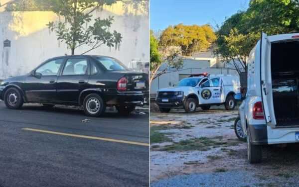 GO: pets filhotes são resgatados de porta-malas de carro sob sol forte go:-pets-filhotes-sao-resgatados-de-porta-malas-de-carro-sob-sol-forte