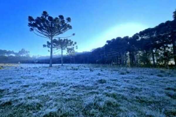 Serra de SC registra -5,7°C e 19 cidades ficam abaixo de 0ºC serra-de-sc-registra-5,7°c-e-19-cidades-ficam-abaixo-de-0oc