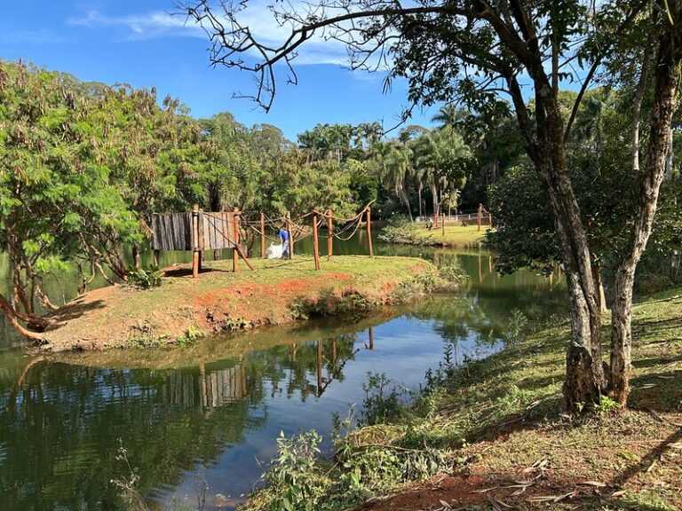 zoo-americana-realiza-melhorias-em-recinto-dos-macacos-aranha-de-testa-branca