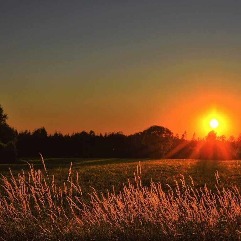 final-de-semana-sera-de-sol,-calor-durante-a-tarde-e-tempo-seco-em-americana