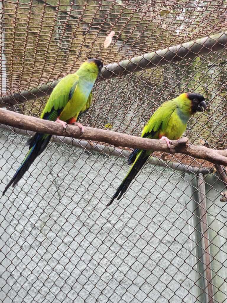 Moradores de Americana podem visitar gratuitamente o Parque Ecológico neste final de semana moradores-de-americana-podem-visitar-gratuitamente-o-parque-ecologico-neste-fim-de-semana