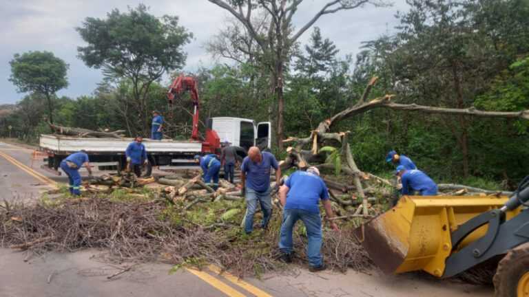 Prefeitura de Americana faz limpeza em regiões atingidas pelas chuvas prefeitura-de-americana-realiza-limpeza-em-areas-atingidas-pelas-chuvas